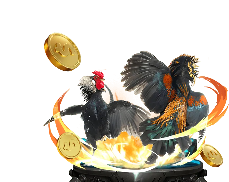 Cam Kết Của 88nn123